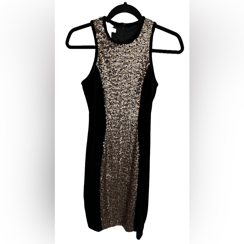 Boston Proper Velvet & Sequin Dress